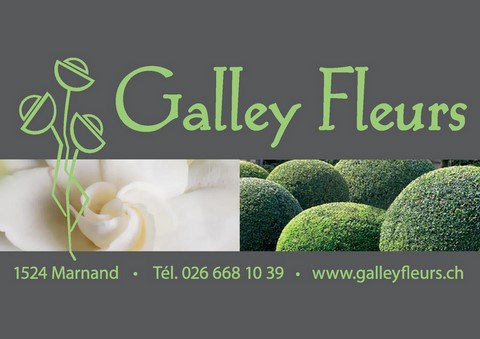 Galley Fleurs